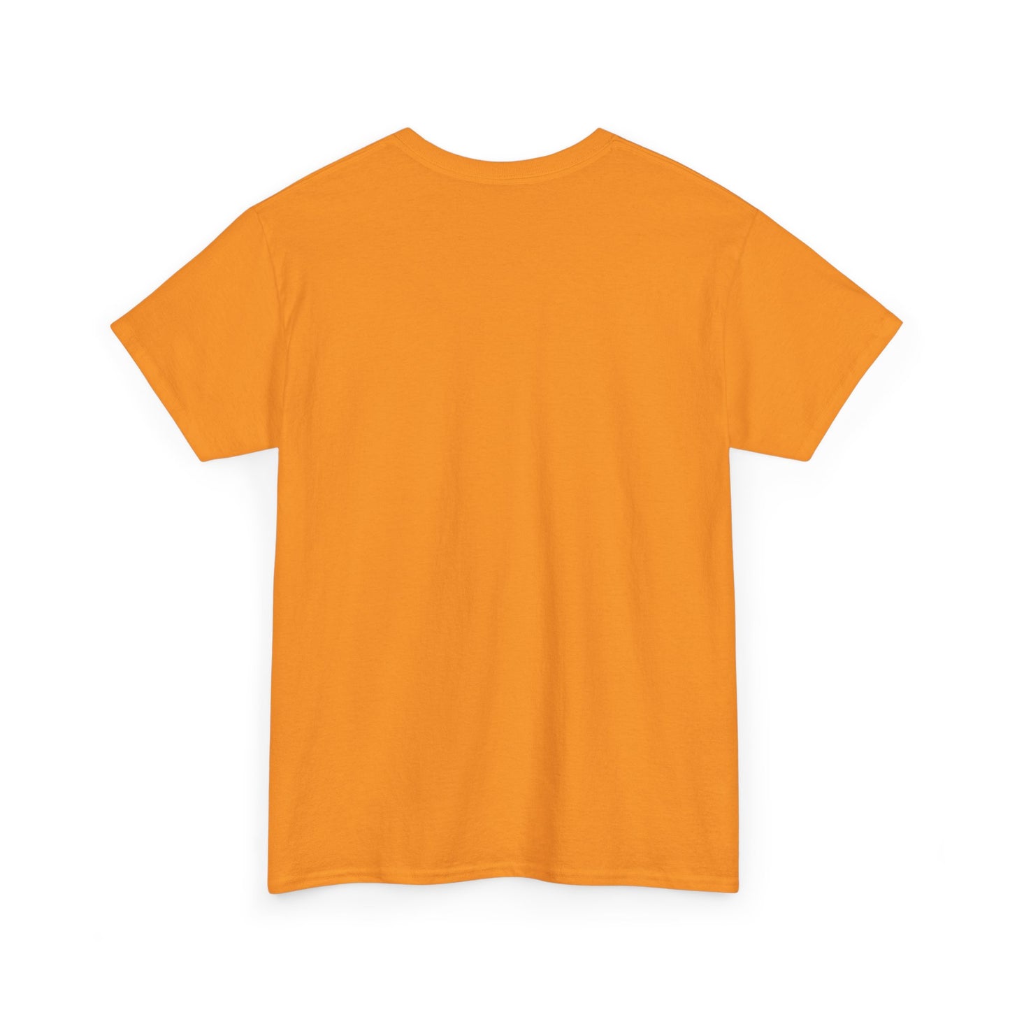 Certified Fanboy Since 1999 – Retro Pop Music Tee, Casual Tee, Graphic T-Shirt, Gift for Fans, Summer Wear, Everyday Comfort - Mixtape Hearts