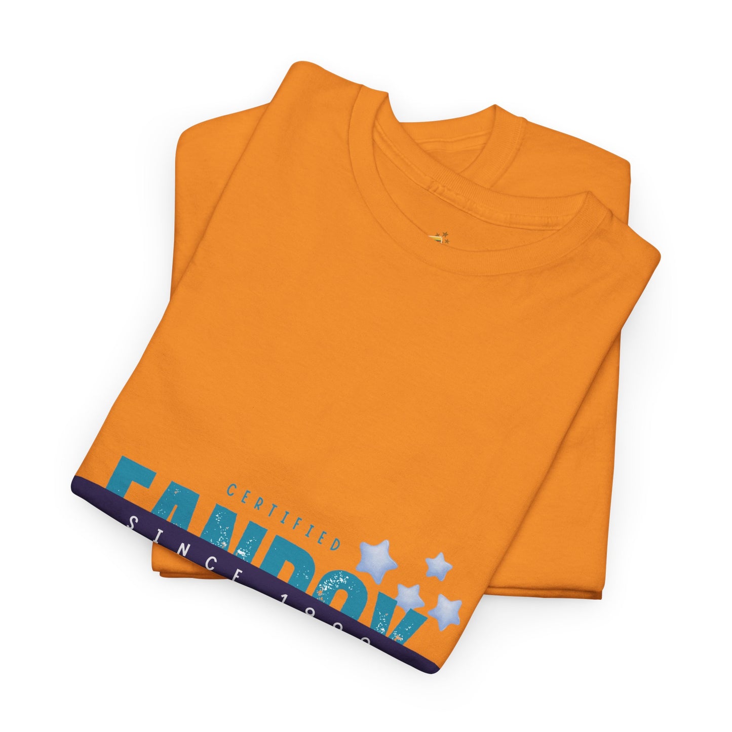 Certified Fanboy Since 1999 – Retro Pop Music Tee, Casual Tee, Graphic T-Shirt, Gift for Fans, Summer Wear, Everyday Comfort - Mixtape Hearts