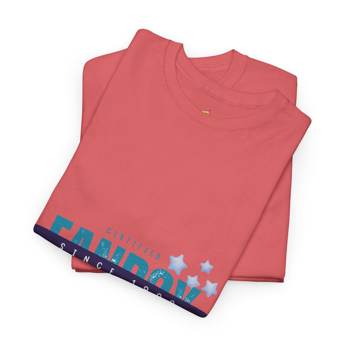 Certified Fanboy Since 1999 – Retro Pop Music Tee, Casual Tee, Graphic T-Shirt, Gift for Fans, Summer Wear, Everyday Comfort - Mixtape Hearts