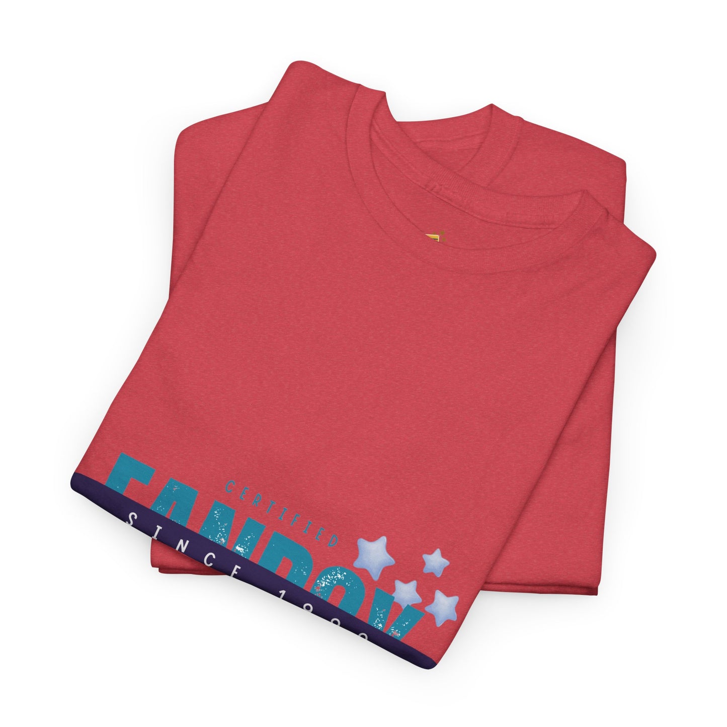 Certified Fanboy Since 1999 – Retro Pop Music Tee, Casual Tee, Graphic T-Shirt, Gift for Fans, Summer Wear, Everyday Comfort - Mixtape Hearts