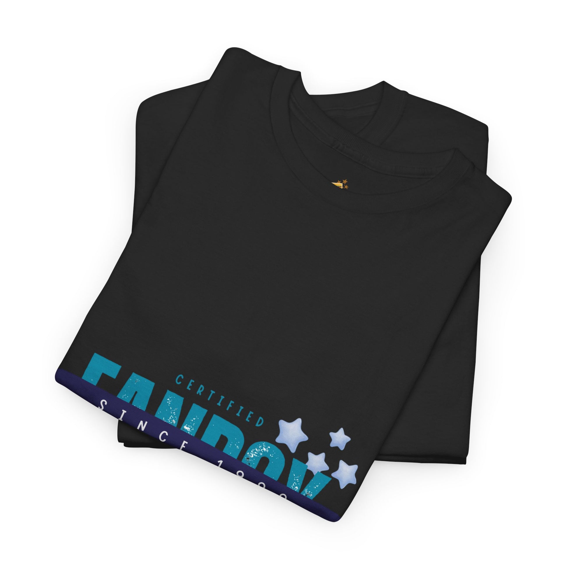 Certified Fanboy Since 1999 – Retro Pop Music Tee, Casual Tee, Graphic T-Shirt, Gift for Fans, Summer Wear, Everyday Comfort - Mixtape Hearts