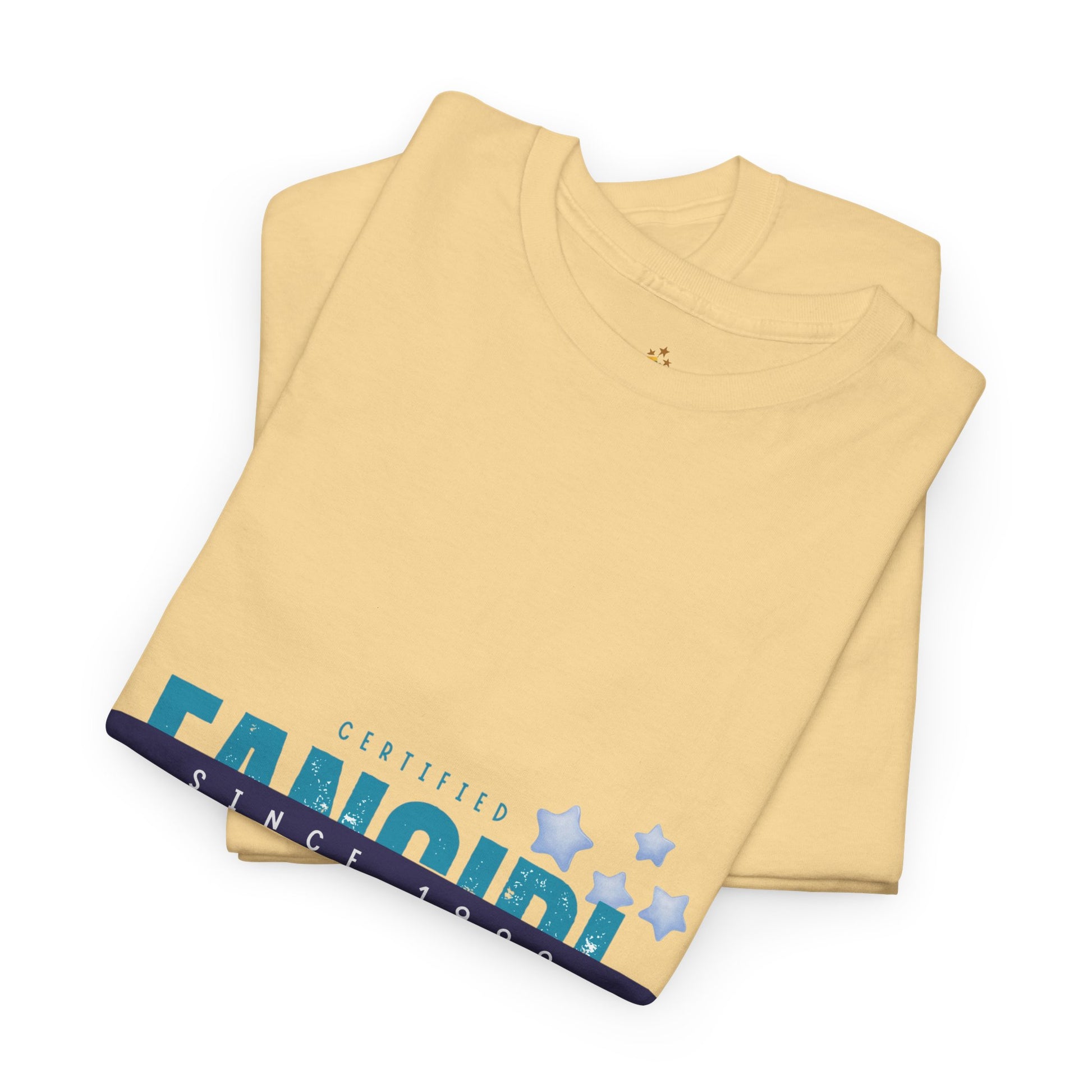 Certified Fangirl Since 1999 – Retro Pop Music Tee, Casual Tee, Graphic T-Shirt, Gift for Fans, Summer Wear, Everyday Comfort - Mixtape Hearts