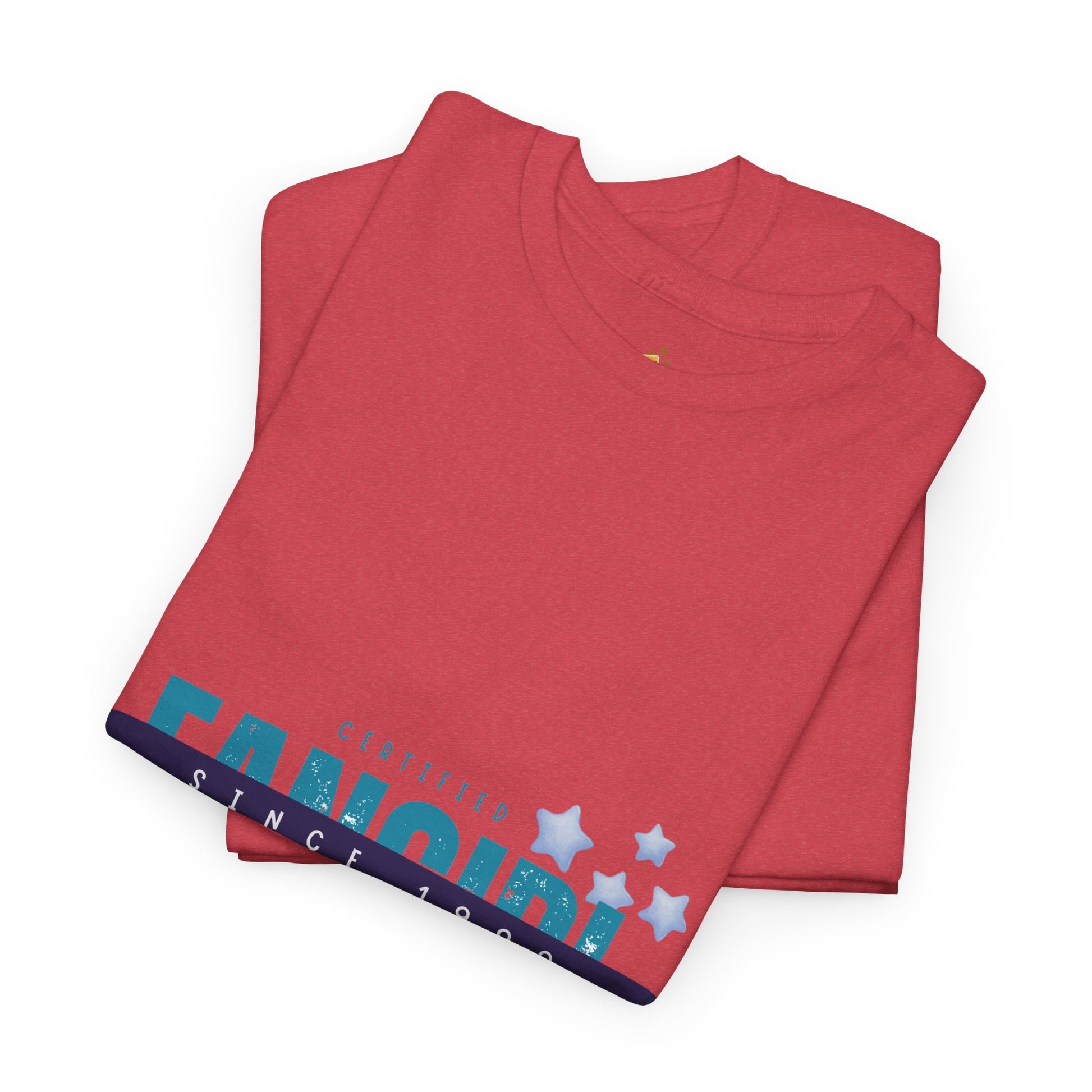 Certified Fangirl Since 1999 – Retro Pop Music Tee, Casual Tee, Graphic T-Shirt, Gift for Fans, Summer Wear, Everyday Comfort - Mixtape Hearts