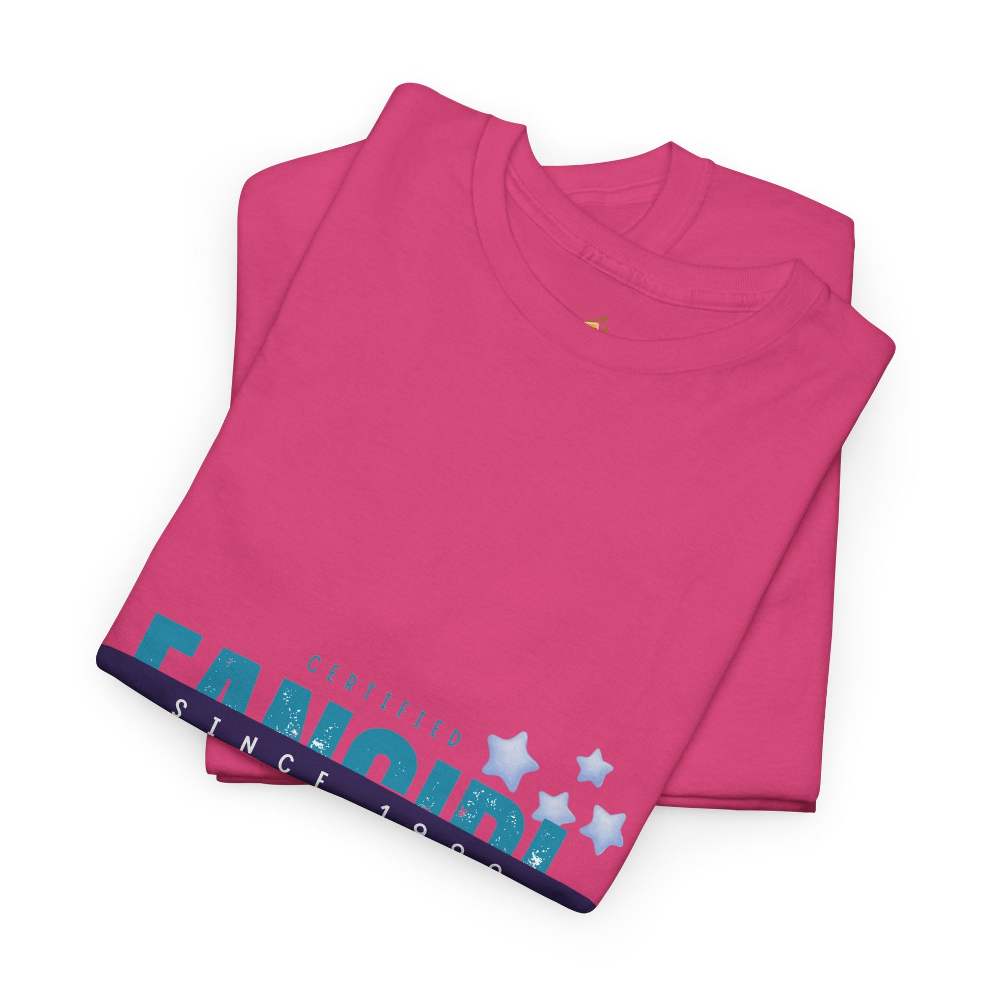 Certified Fangirl Since 1999 – Retro Pop Music Tee, Casual Tee, Graphic T-Shirt, Gift for Fans, Summer Wear, Everyday Comfort - Mixtape Hearts