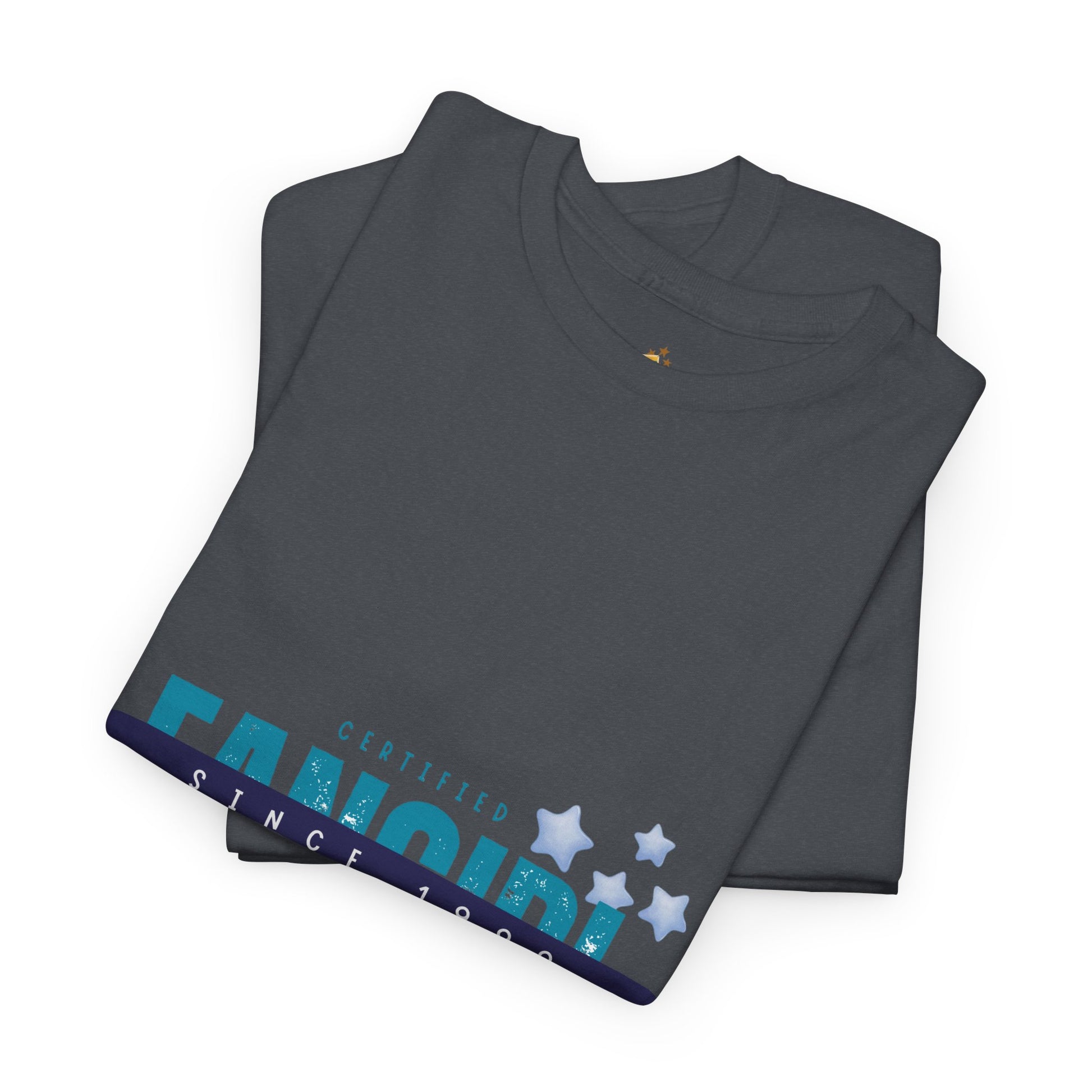Certified Fangirl Since 1999 – Retro Pop Music Tee, Casual Tee, Graphic T-Shirt, Gift for Fans, Summer Wear, Everyday Comfort - Mixtape Hearts