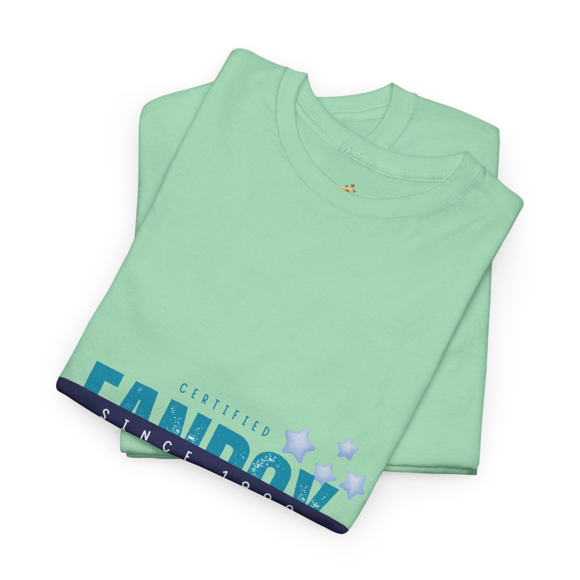 Certified Fanboy Since 1999 – Retro Pop Music Tee, Casual Tee, Graphic T-Shirt, Gift for Fans, Summer Wear, Everyday Comfort - Mixtape Hearts