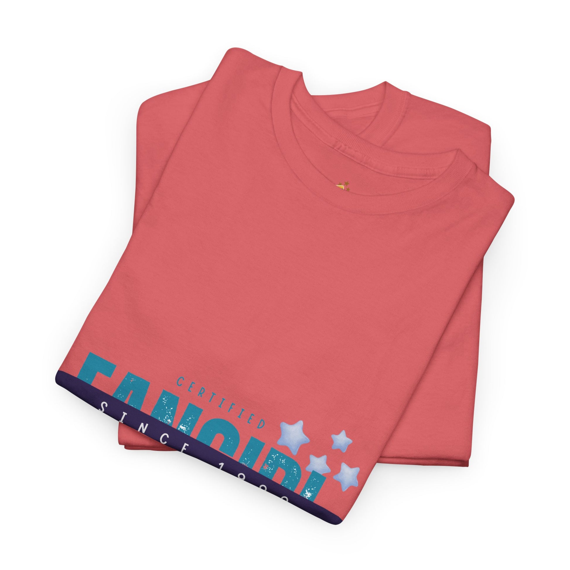 Certified Fangirl Since 1999 – Retro Pop Music Tee, Casual Tee, Graphic T-Shirt, Gift for Fans, Summer Wear, Everyday Comfort - Mixtape Hearts