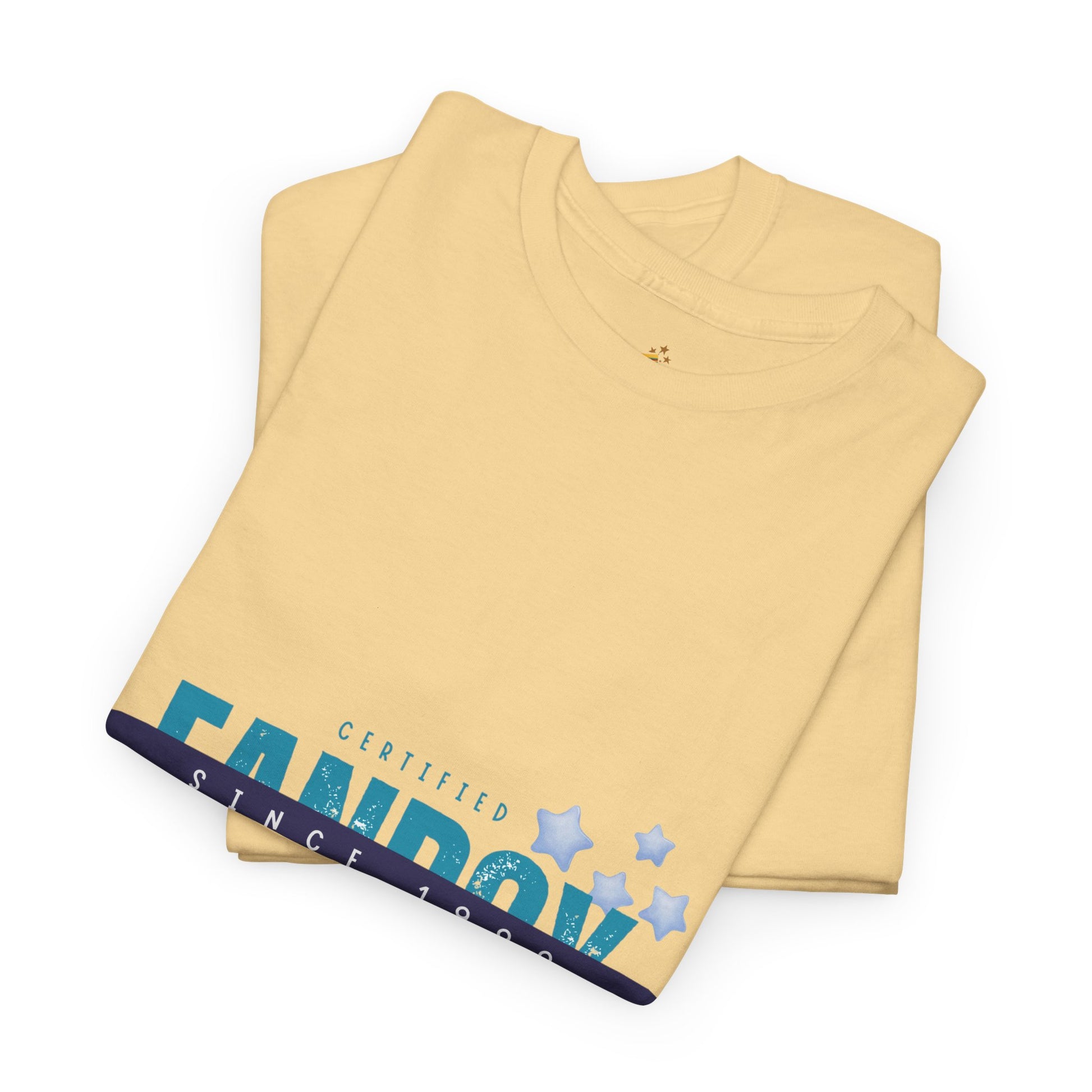 Certified Fanboy Since 1999 – Retro Pop Music Tee, Casual Tee, Graphic T-Shirt, Gift for Fans, Summer Wear, Everyday Comfort - Mixtape Hearts