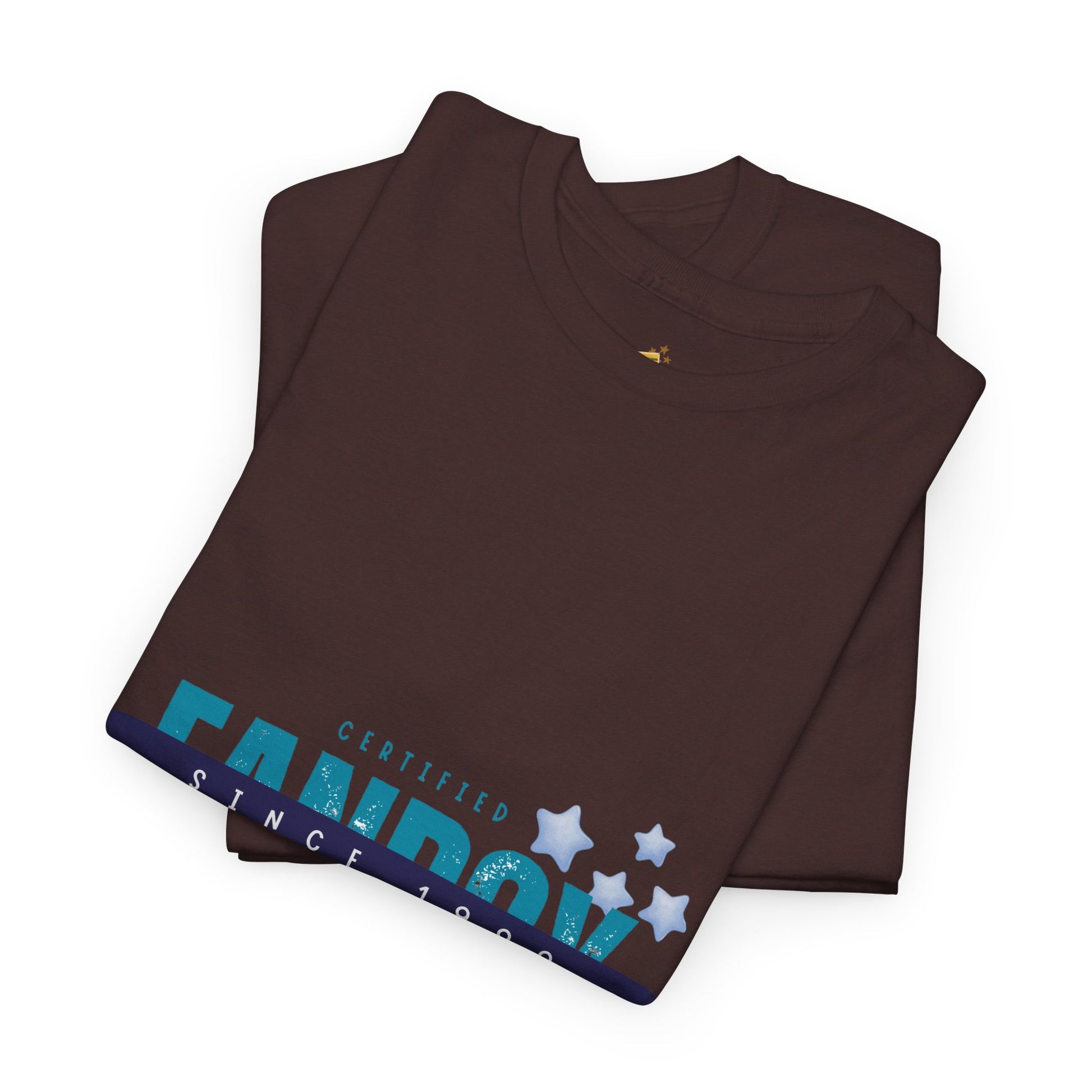 Certified Fanboy Since 1999 – Retro Pop Music Tee, Casual Tee, Graphic T-Shirt, Gift for Fans, Summer Wear, Everyday Comfort - Mixtape Hearts