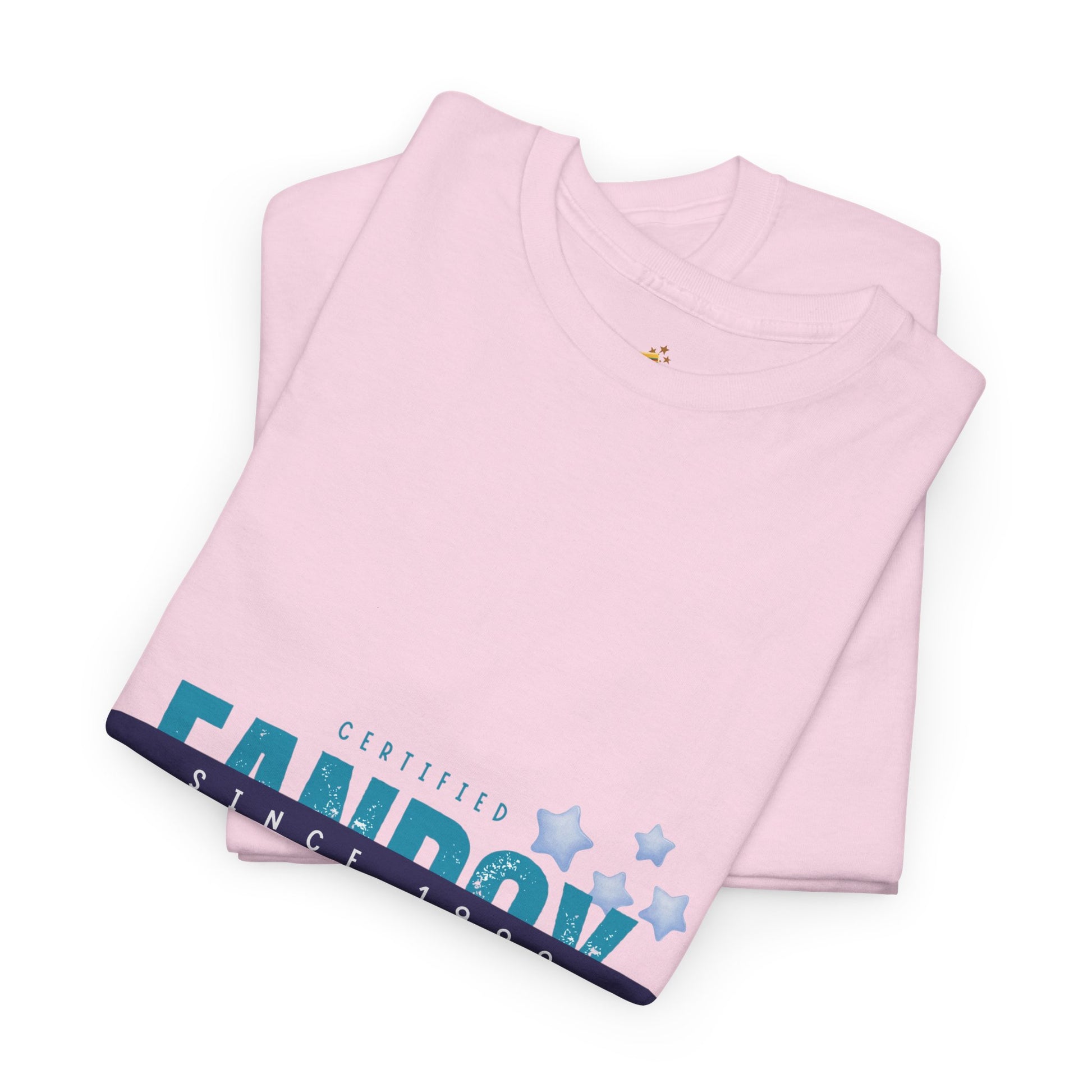 Certified Fanboy Since 1999 – Retro Pop Music Tee, Casual Tee, Graphic T-Shirt, Gift for Fans, Summer Wear, Everyday Comfort - Mixtape Hearts